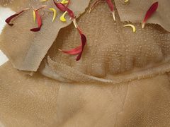 -左庭右院鲜牛肉火锅(苏州园区永旺店)