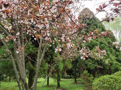 -昆山城市生态森林公园