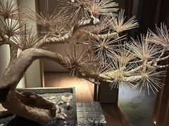 -浅深(北京北四环精品店)