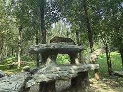 -北京野生动物园