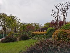 -新江湾城公园