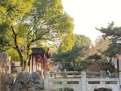 -八大山人梅湖景区