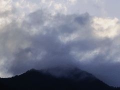 -秦岭服务区餐厅(京昆高速店)