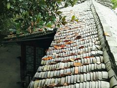 -溪口-滕头旅游景区