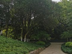 -瀛洲公园