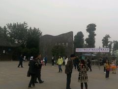 -秀丽东方