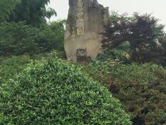 -宜兴龙背山森林公园