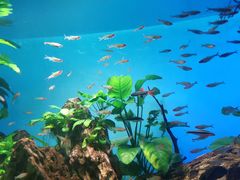 -太平洋海底世界