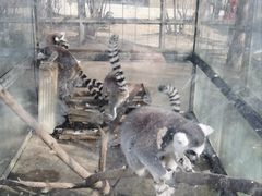 -水绘园