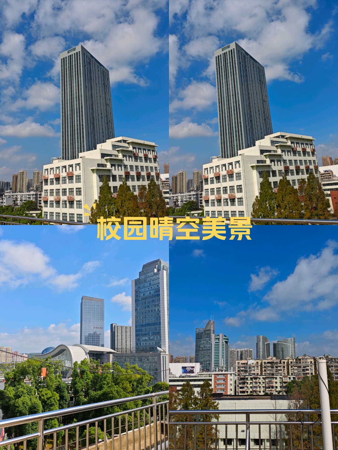 校园风景图名称图片