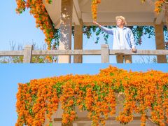 -桃花涧