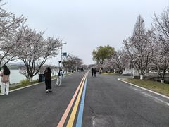 -羊山湖公园
