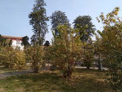 -四川大学(望江校区)