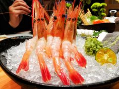 甜虾刺身-文三酒肆自助放题(新街口友谊广场店)