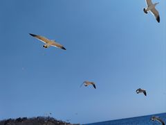-银沙滩浴场