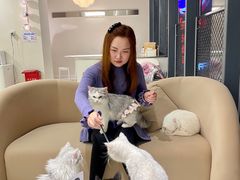 -怪兽屋·羊驼·猫咖·狗咖(俊华广场店)