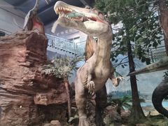 -湖南省地质博物馆