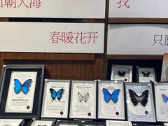 -三联韬奋书店(三里屯店)