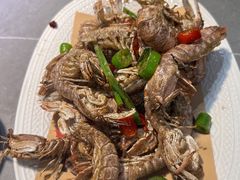 -魚當家