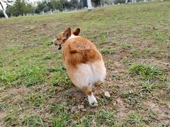 -洨河生态公园