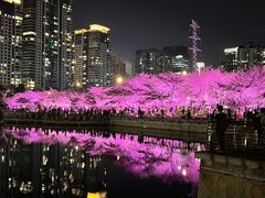 -西北湖绿化广场