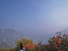 -大岭沟猕猴桃谷风景区
