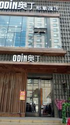 -ODIN 奥丁形象设计 