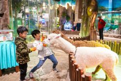 -宝燕乐园(闵行旗舰店)