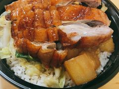 深井烧鹅饭送酸梅酱-广东涂记烧鹅饭(武汉天地店)