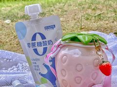 -白色日记·手作酸奶(麦凯乐店)