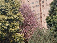 -南宁南湖公园