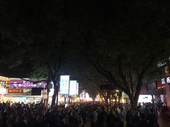 -老白家水盆羊肉