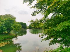 -梁鸿国家湿地公园