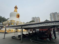 -护国法轮寺