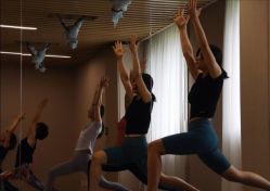 -酉嘉瑜伽YO+YOGA