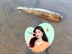 -珠海金沙滩