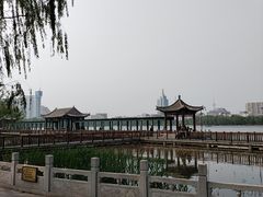 -莲花池公园