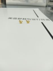 点击看大图 -Wisezone唯点穿耳打耳洞专业国际连锁品牌