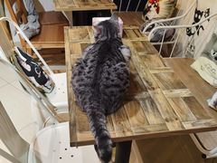 -小时光咖啡馆(开森度假森林店)