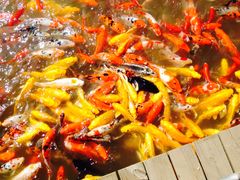 -泰安地下龙宫景区