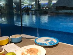 -帝企鹅自助餐厅•儿童岛•真企鹅(长隆企鹅酒店)