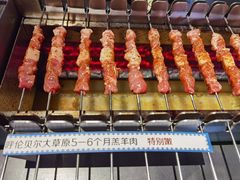 -很久以前羊肉串(朝阳路店)