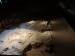 -侵华日军南京大屠杀遇难同胞纪念馆
