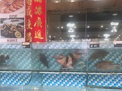 -俊江海鲜酒店(海陵岛白蒲市场店)