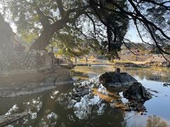 -福建土楼(南靖)景区