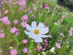 -济南国际园博园