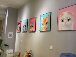 点击看大图 -洗脸猫·洗脸吧