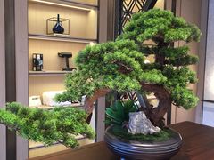 -蓬客精品酒店(南山海岸城购物中心店)