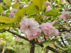-贵阳市花溪国家城市湿地公园