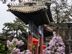 -莲池书院博物馆